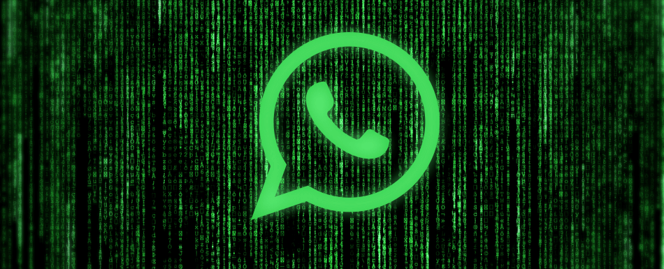 Entenda a nova criptografia de ponta-a-ponta do WhatsApp