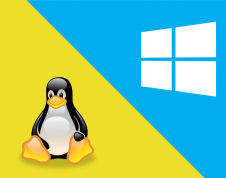 linux ou windows para programar